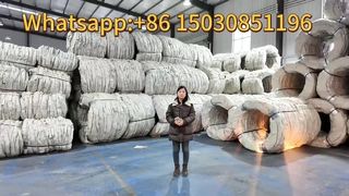 Arame farpado de segurança de arame farpado sanfona